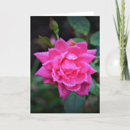 Rosa Rojo, tarjeta