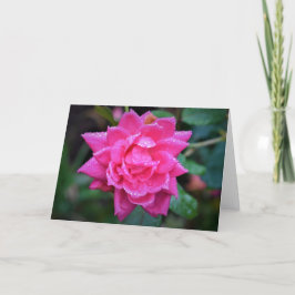 Rosa Rojo, tarjeta