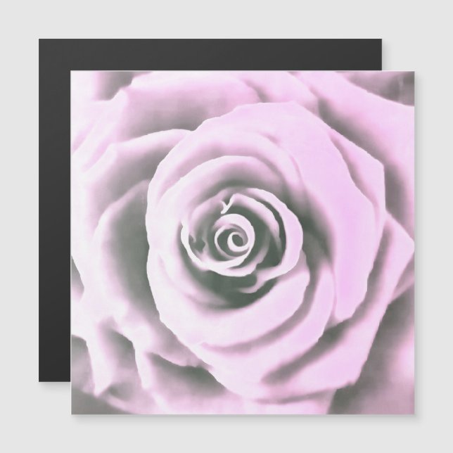 Rosa rosa artístico rb (Anverso/Reverso)