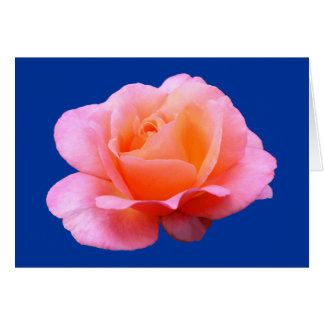 Rosa rosa - Azul
