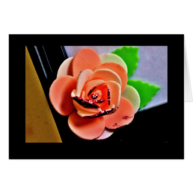 Rosa rosa claro (Anverso (Horizontal))