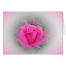 Rosa rosa con rosa y blanco