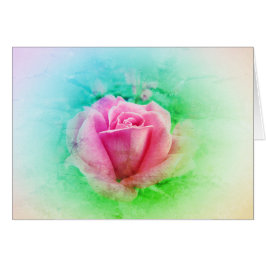 Rosa rosa con rosa y blanco - Greenleaf