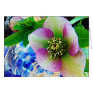 Rosa rosa de Cuaresma bola de vidrio azul