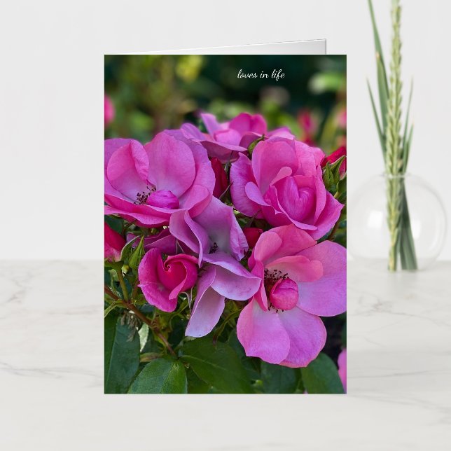 Rosa rosa de lavanda (Anverso)