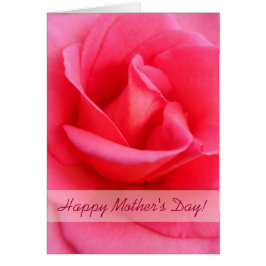 Rosa rosa del Día de la Madre