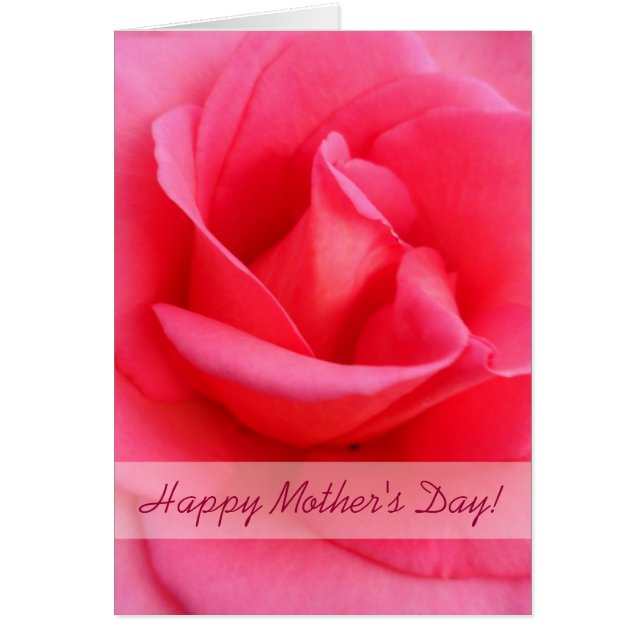 Rosa rosa del Día de la Madre (Frente)