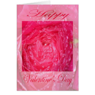 Rosa rosa día de San Valentín con gota de lluvia