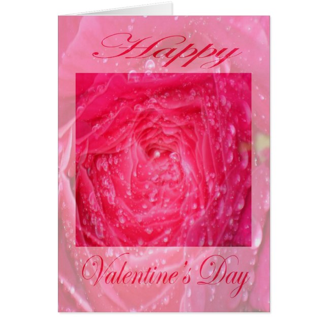 Rosa rosa día de San Valentín con gota de lluvia (Frente)