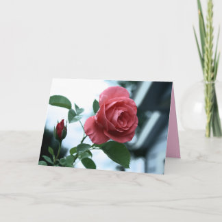 Rosa rosa en floración feliz tarjeta del día de la