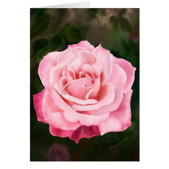 Rosa rosa en pleno auge (Frente)