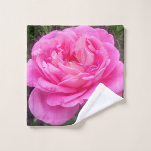 Rosa Rosa Rosa "Leonardo Da Vinci"