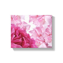rosa rosa rosa rosado pétalo abstracto arte floral