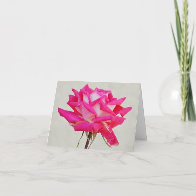 Rosa rosa simple de la tarjeta de notas del jardín (Anverso)