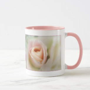 Rosa rosa suave en tazas de bebida a plena sangre