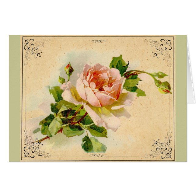 Rosa rosa victoriano (Anverso (Horizontal))