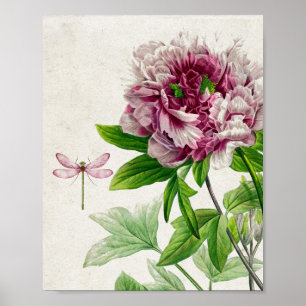 Rosa rosa vintage y arte de la pared de la libélul