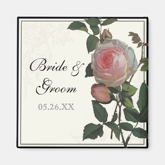 Rosa rosada botánica, boda salva el imán de fecha (Frente)