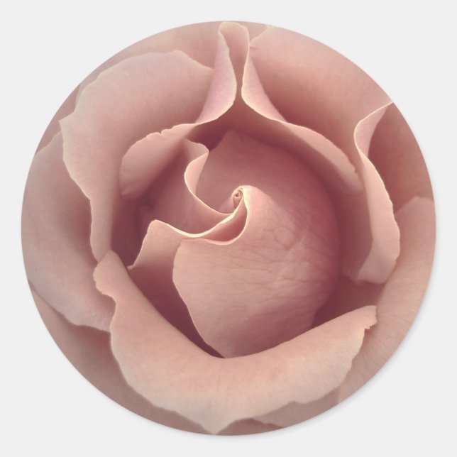 Rosa Rubor PINK - Sello para sobres Boda (Anverso)