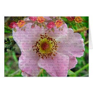 Rosa salvaje