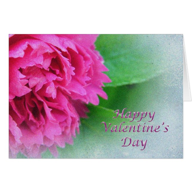 rosa silvestre rosa feliz día de San Valentín (Anverso (Horizontal))