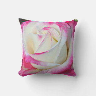 Rosa simple rosa y blanco almohada de lanzamiento