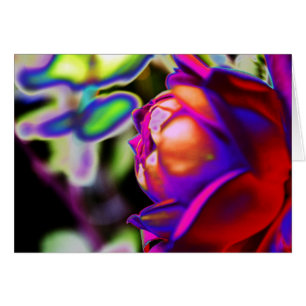 Rosa solarizado por Shirley Taylor