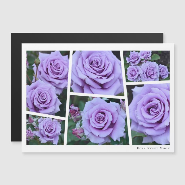 Rosa Sweet Moon (Anverso/Reverso)