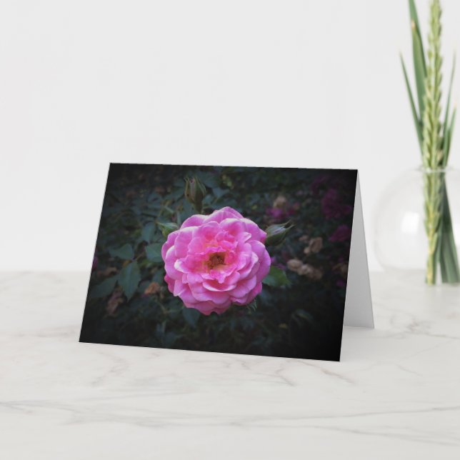Rosa, tarjeta (Anverso)