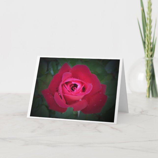 Rosa, tarjeta (Anverso)