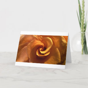 Rosa, tarjeta