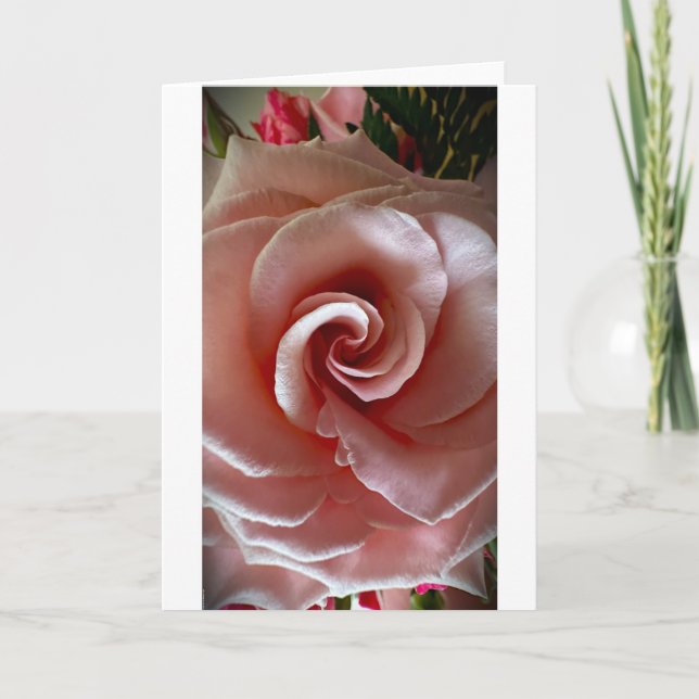 Rosa, tarjeta (Anverso)