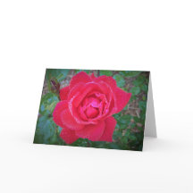 Rosa, tarjeta
