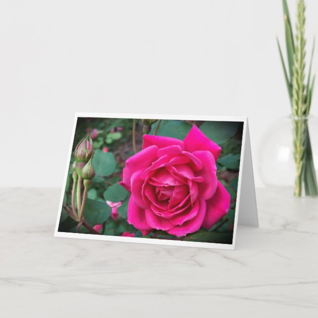 Rosa, tarjeta (Anverso)