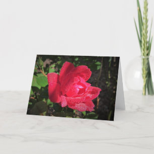 Rosa, tarjeta