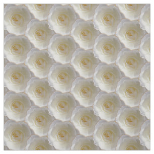 Rosa Tela de rosa blanca algodón o poli