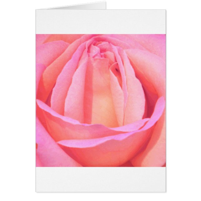 Rosa único_ (Frente)
