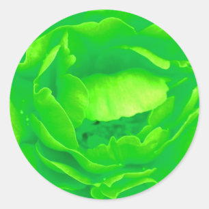 Rosa verde Pegatina - Personalizable