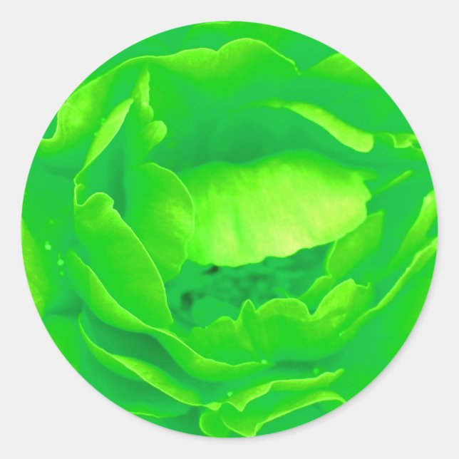 Rosa verde Pegatina - Personalizable (Anverso)