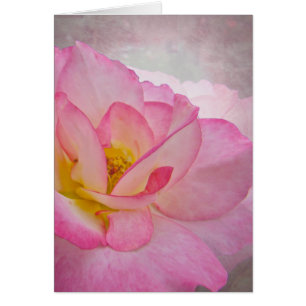 Rosa Victoriano Rosa