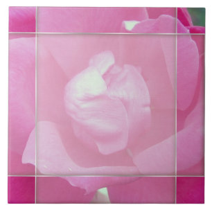 Rosa Vivid 2 Baldosas de cerámica fotográfica