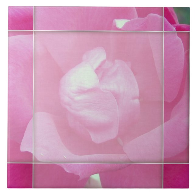Rosa Vivid 2 Baldosas de cerámica fotográfica (Frente)