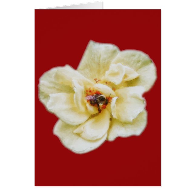 Rosa y abeja (Frente)