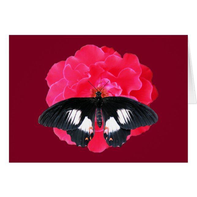 Rosa y cola de inflexión (Anverso (Horizontal))