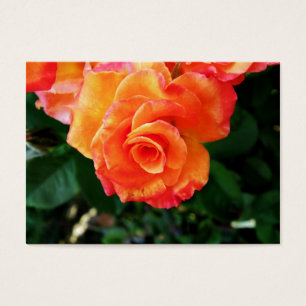 rosado