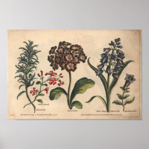 Rosario de impresión de arte de flores botánicas d