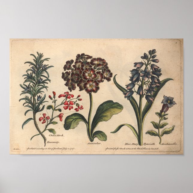 Rosario de impresión de arte de flores botánicas d (Frente)