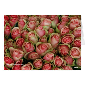 Rosas