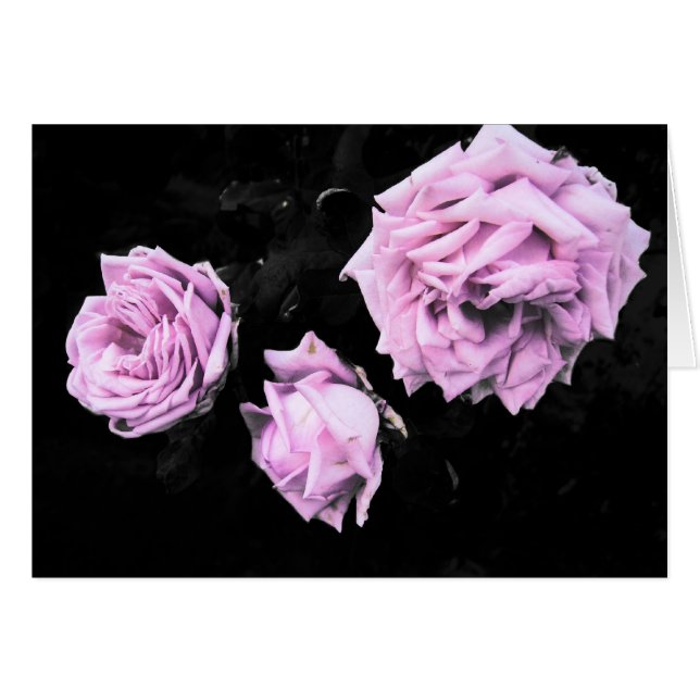 Rosas (Anverso (Horizontal))