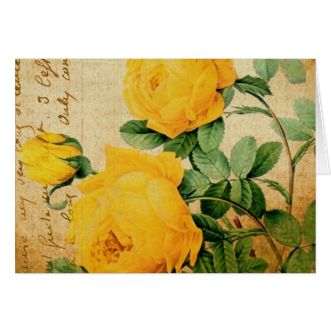 Rosas Amarillas Vintage (Anverso (Horizontal))